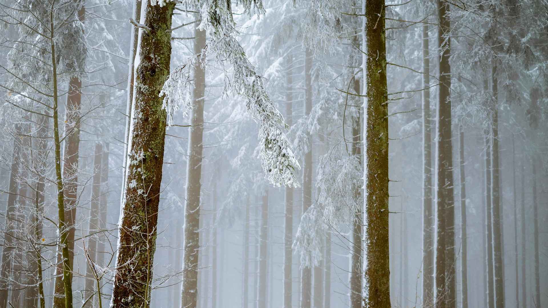 冰天雪地里的唯美风光桌面壁纸