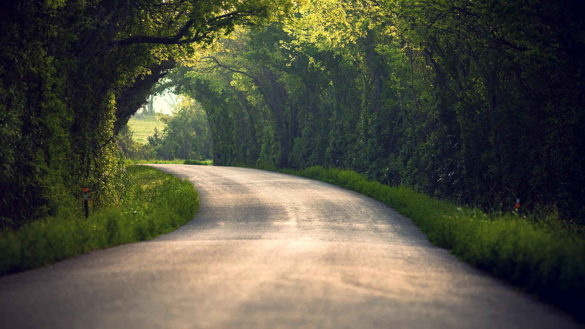 爱在旅途桌面壁纸