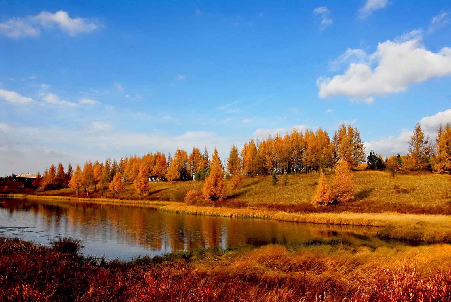 承德木兰围场风景桌面壁纸