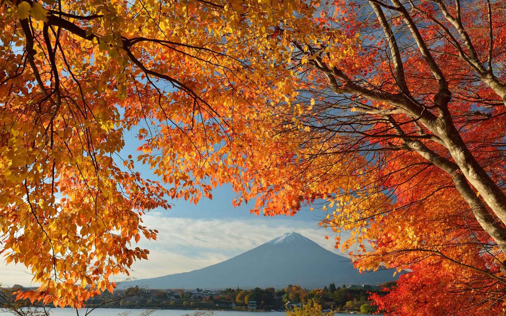 高清富士山秋色如画电脑桌面壁纸