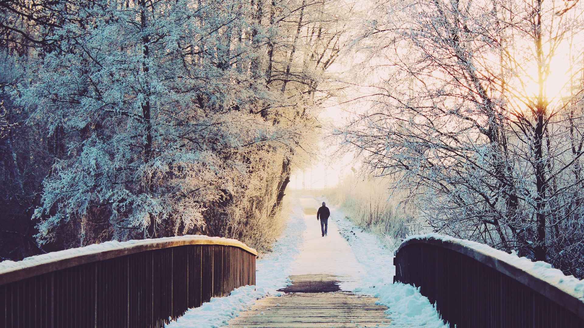 冰天雪地里的唯美风光桌面壁纸