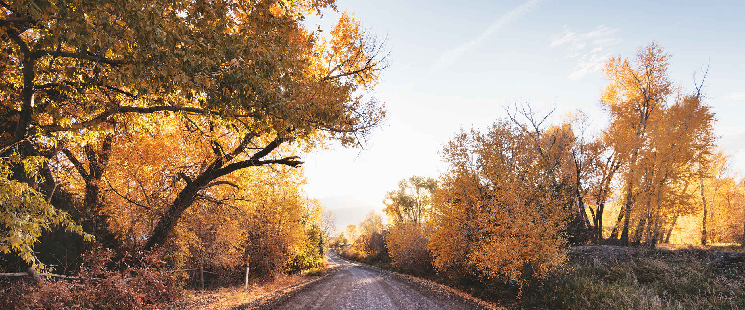 秋天树木中间公路好看的壁纸唯美-