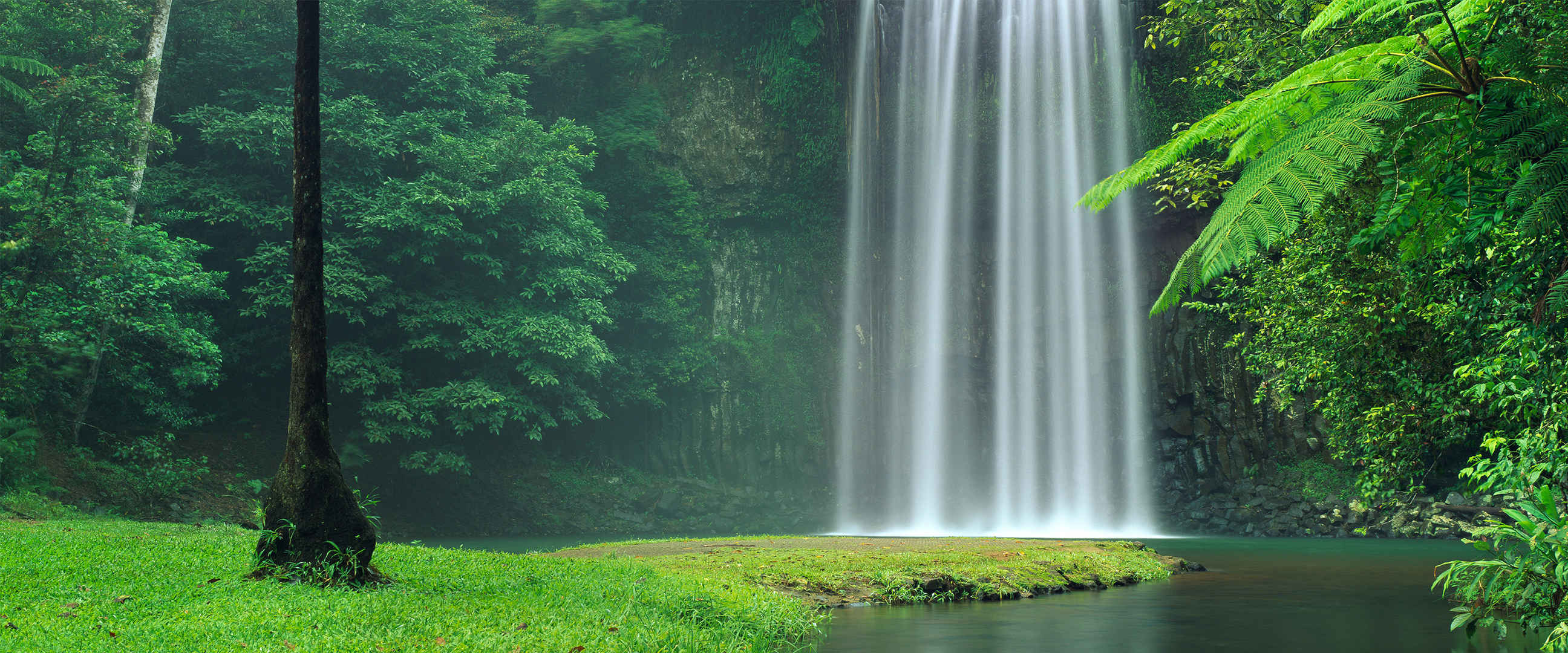 绿色森林大自然山水瀑布图片-