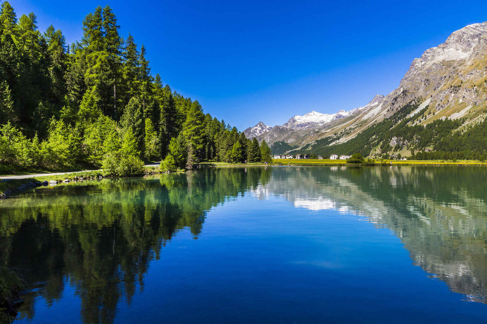 反射,围绕,阿尔卑斯山,湖,乡村,背景,靠近,圣莫里茨 5k壁纸