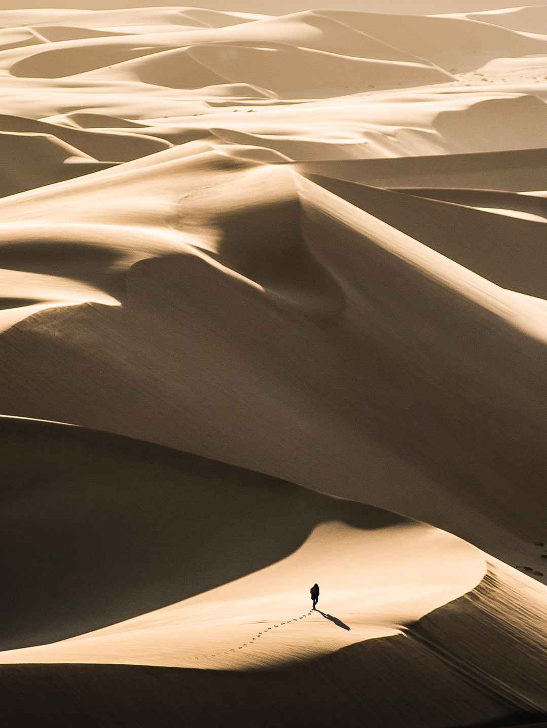 沙漠旅行 游客人物手机壁纸
