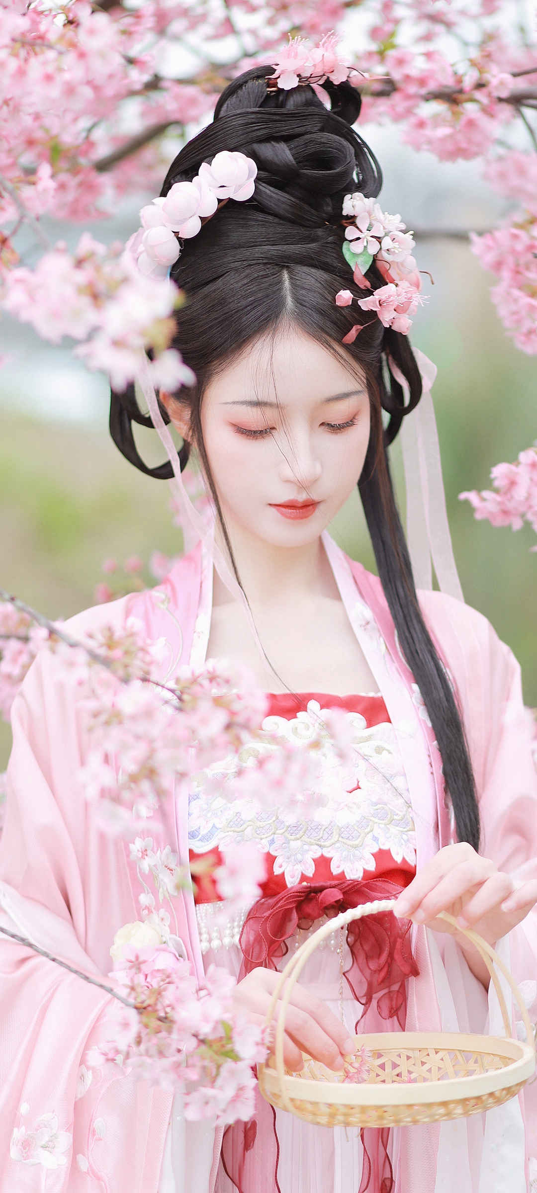 古装 古风 美女 粉色 樱花 手机壁纸